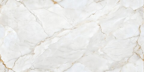 White Marble Tile With Gentle Gray Veins Glossy Finish
