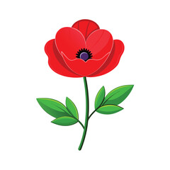 Red poppy flower with vector art illustration
