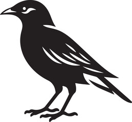 Fototapeta premium Myna Bird Black Silhouette Vector, Exotic Bird Clipart & Wildlife Graphic Design