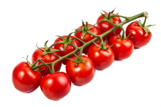 A vibrant cluster of cherry tomatoes still attached to their vine against a black background scene view