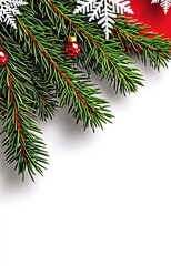 christmas tree branch with snow