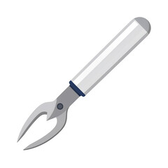 Obraz premium A versatile silver olive picker kitchen tool isolated transparent background