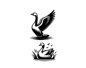 Fototapeta premium Geese vector black color and white vector background icon logo style
