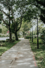 Pedestrian in Singapore with their national flag, preparing for celebration of its National Day