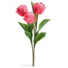 spring flower concept. Three pink tulips with green leaves, presented in a vertical arrangement. isolated on white background