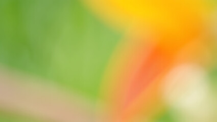 Obraz premium Abstract Blurred Background Green, Orange, and Yellow Hues