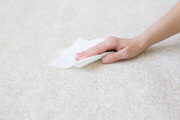 Young adult woman hand holding white dry paper napkin and cleaning light soft home carpet. Closeup....
