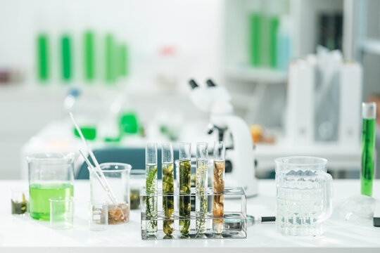 Botanical research in a modern laboratory focusing on algae and plant-based cosmetic development, with scientists analyzing samples under a microscope to explore organic skincare innovations - Powered by Adobe