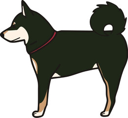 シンプルな黒柴を横から見たイラスト