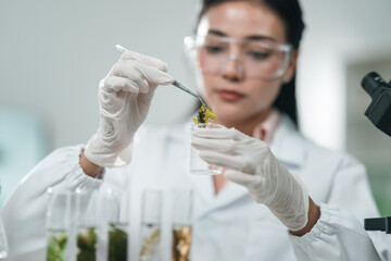 Botanical research in a modern laboratory focusing on algae and plant-based cosmetic development,...