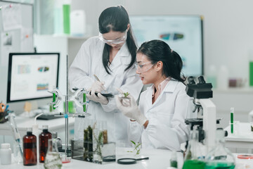 Botanical research in a modern laboratory focusing on algae and plant-based cosmetic development,...