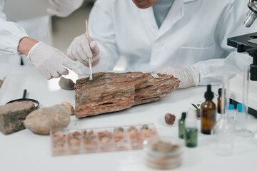 Geological researcher classifying rock and mineral samples in laboratory setting, focusing on earth...