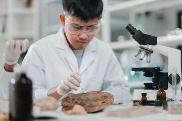 Geological researcher classifying rock and mineral samples in laboratory setting, focusing on earth...