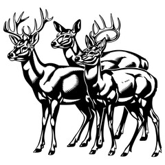 Black and white illustration of a deer family, including a stag, doe, and fawn, standing together in a stylized, detailed graphic with strong shading and line work.