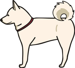 シンプルな白柴を横から見たイラスト
