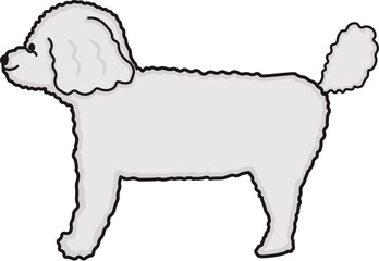 ホワイトカラーでドワーフ体型のトイプードルを横から見たイラスト