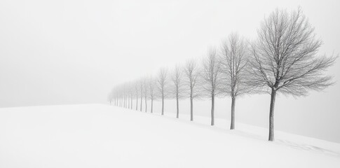 A serene winter landscape featuring a vast expanse of snow-covered ground under a soft. diffused light. creating a tranquil atmosphere perfect for seasonal imagery