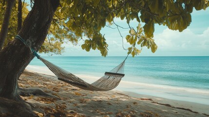 Tropical beach scene featuring a hammock suspended between two trees