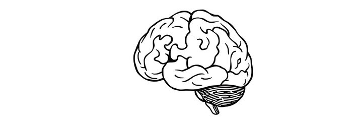 Thick line doodle of a human brain with puzzle pieces missing, symbolizing creativity and mental complexity, isolated on white background

