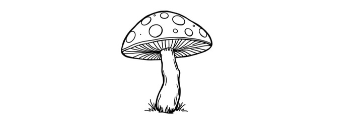 Thick line doodle of a mushroom with polka dots on cap, isolated on white background

