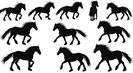 Obraz premium Equestrian Motion: A Silhouette Symphony