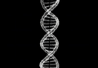 Dna double helix structure visualisation