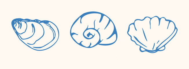 Boho summer shell set. Hand drawn ink seashells, marine icon for poster, banner, design Italian menu, surf club. Coastal minimalist isolated vector illustration.