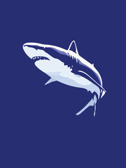shark vector illustration