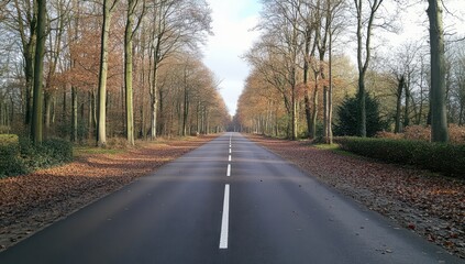Fototapeta premium Sunlit autumn road flanked by leaf-strewn trees