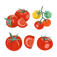 Set of tomato illustrations including red, orange, yellow, green, whole and sliced. Fresh vegetable graphic collection. Vector on a white background.