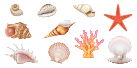 Collection of detailed seashells, starfish, and coral illustrations, featuring diverse shapes and colors on white background. Perfect for marinethemed designs, educational materials