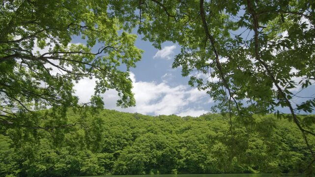 宮城県七ヶ宿町 長老湖の風景 Scenery of Lake Choro in Shichikashuku Town, Miyagi Prefecture