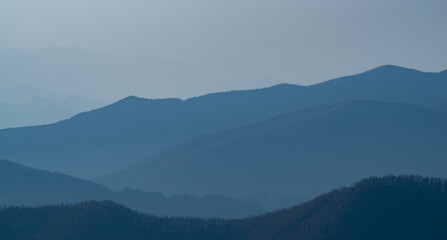 霧が湧く美しい高原　霧ヶ峰	
