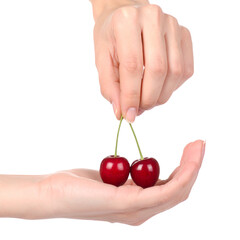 Close up of red cherries held in hand against dark background representing food freshness and nutrition concepts