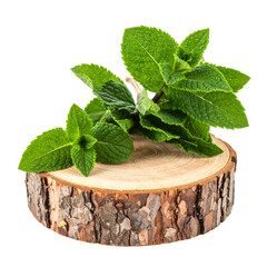 Fresh mint leaves on wooden slice