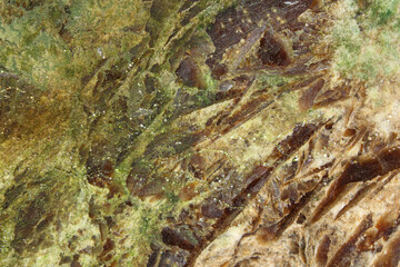 Close up of the texture of a crystal with green moss and lichen in the cave