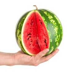 Freshly cut watermelon held in hand against black backdrop showing vivid colors of fruit and texture