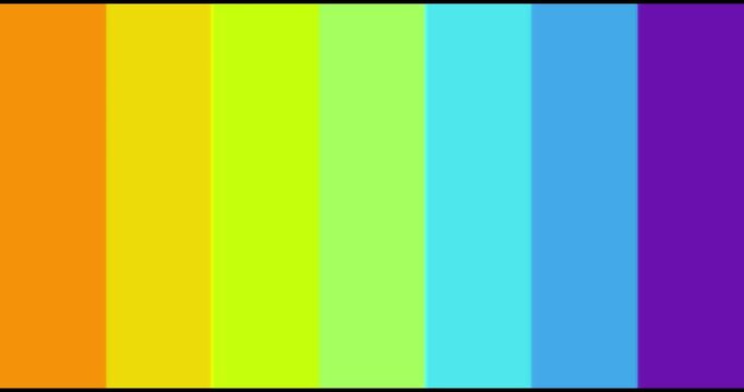 Bright Rainbow Color Palette Graphic