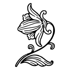 floral ornament illustration