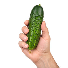 Hand holding a fresh green cucumber against a black background isolated on white for food and healthy eating concepts