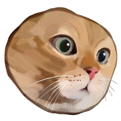 Funny Meme Cat Face Viral Transparent png for Keychain 2