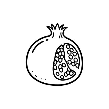 recommend clip art: Pomegranate Outline Illustration
