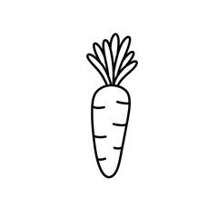 Hand Drawn Carrot Icon