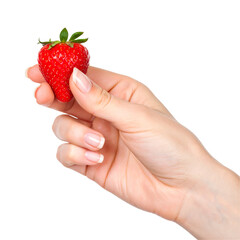 Obraz premium Hand holding fresh red strawberry against black background