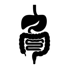 Illustration of human digestive system anatomy for medical education and healthcare awareness design vector