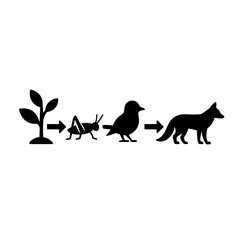 Understanding food chain diagram plant grasshopper bird fox ecosystem trophic levels biology science education