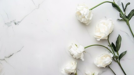 The Art and Science of Crafting Impactful White Background PPTs: Strategies for Clarity, Aesthetics, and Engagement
A white background in PowerPoint presentations serves as a versatile canvas to highl