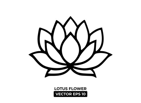 A minimalist line drawing of a lotus flower, symbolizing purity and beauty.
