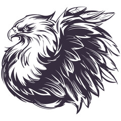 eagle, the head of an eagle, logo a big beautiful bird, hand drawn vector illustration sketch