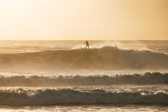 Surfer riding a golden wave at sunrise on Manly Beach